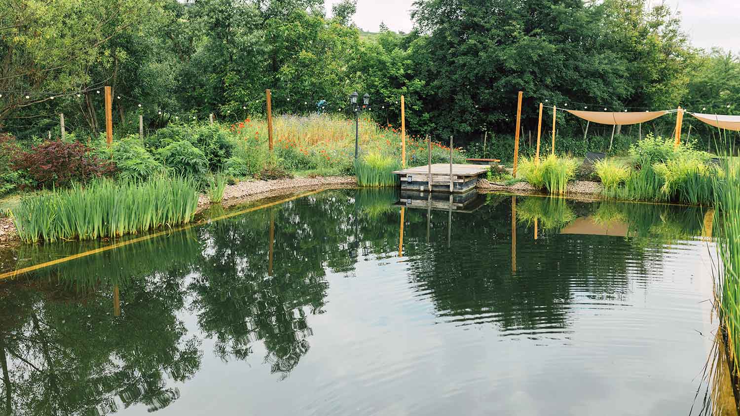 Natural swimming pool with a small dock