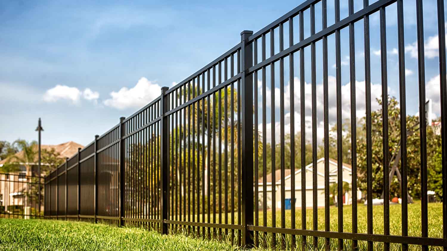 Backyard with black aluminum fence