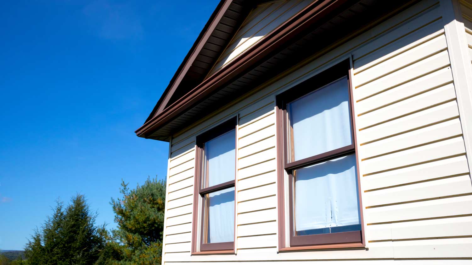 house with white vinyl siding