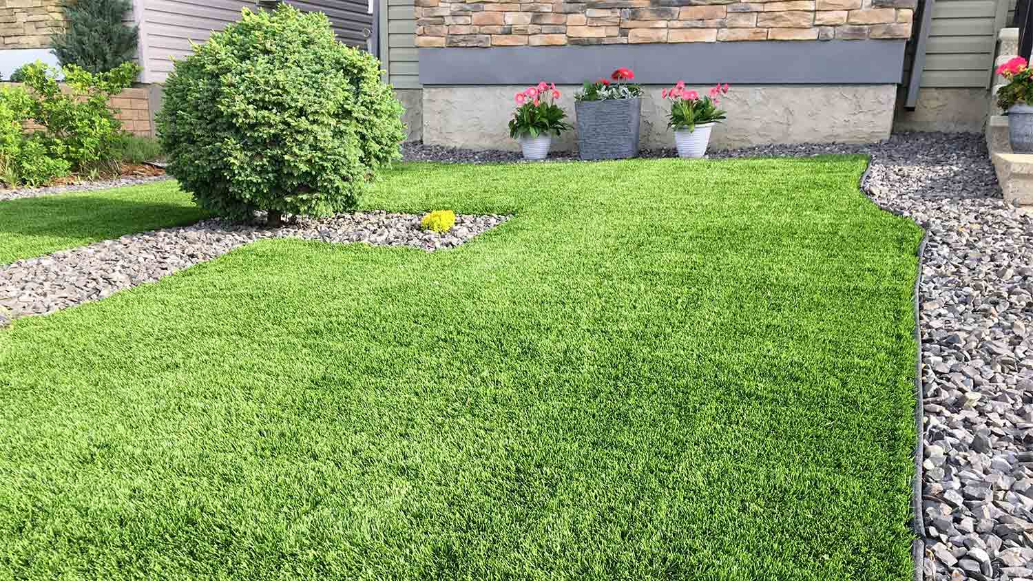 green front lawn with flowers and shrubs