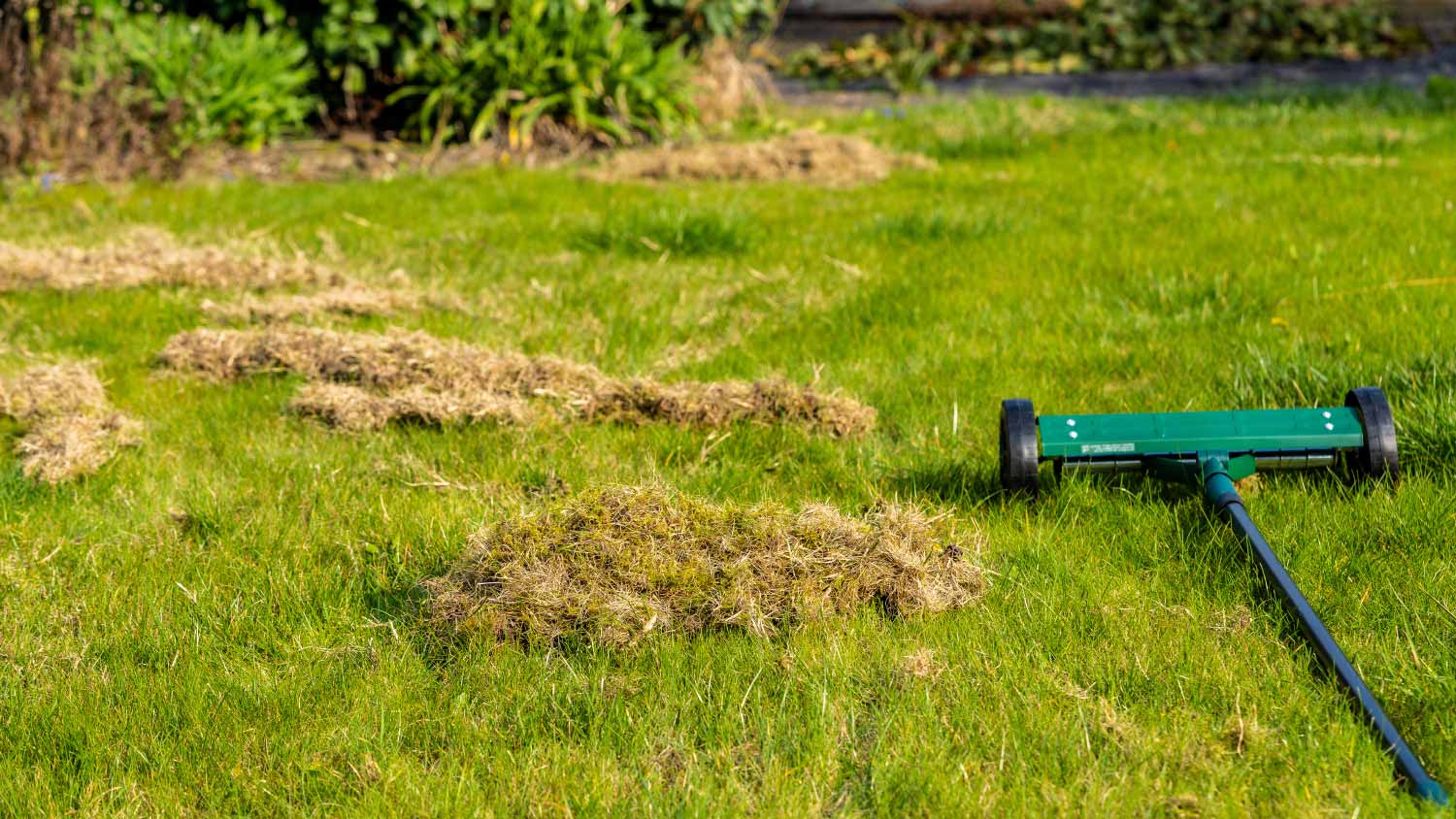 Removing dead grass