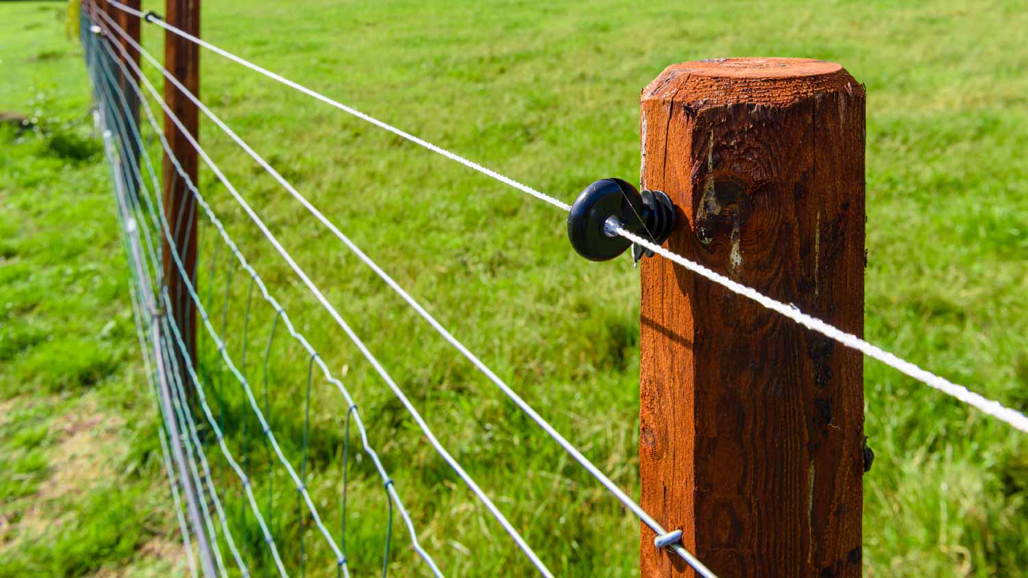 Electric fence wire running along a fence