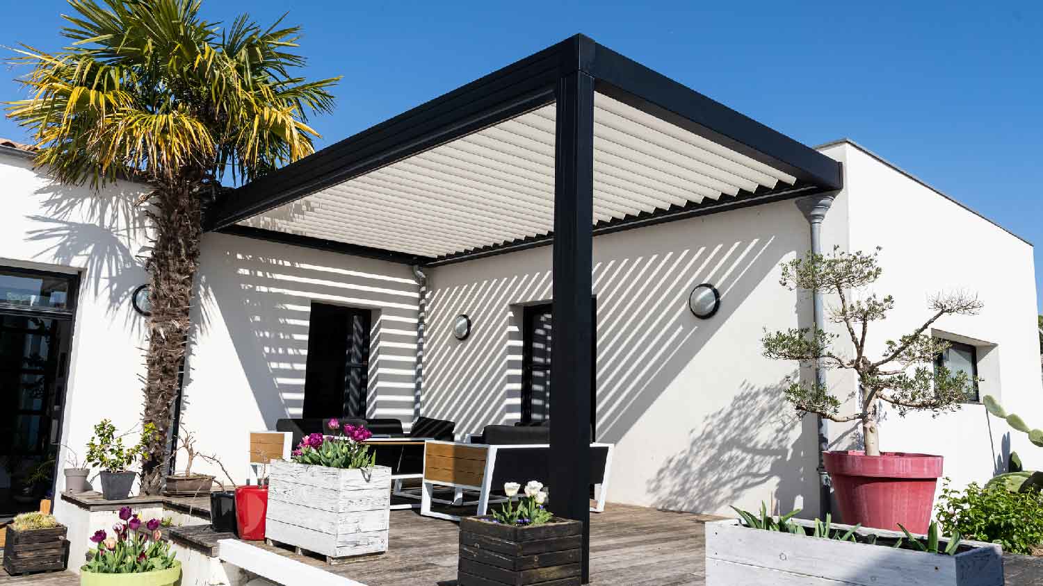 An aluminum smart pergola next to a palm tree