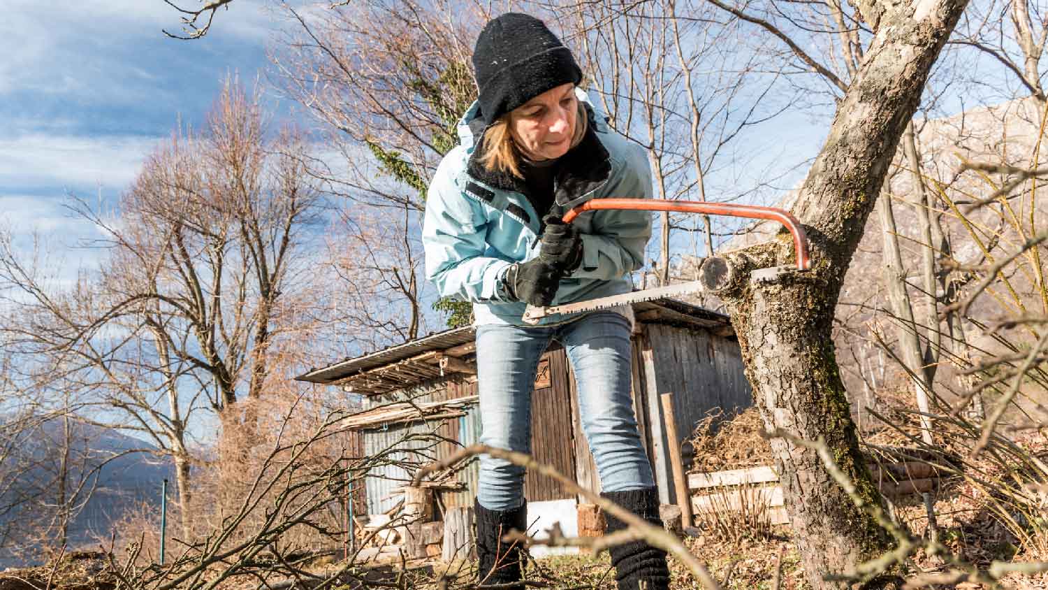 A woman cutting a tree with a handsaw