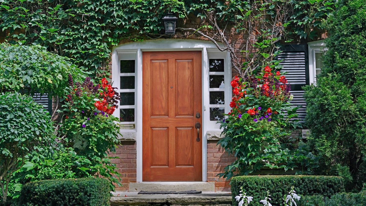 A front wooden vine covered door