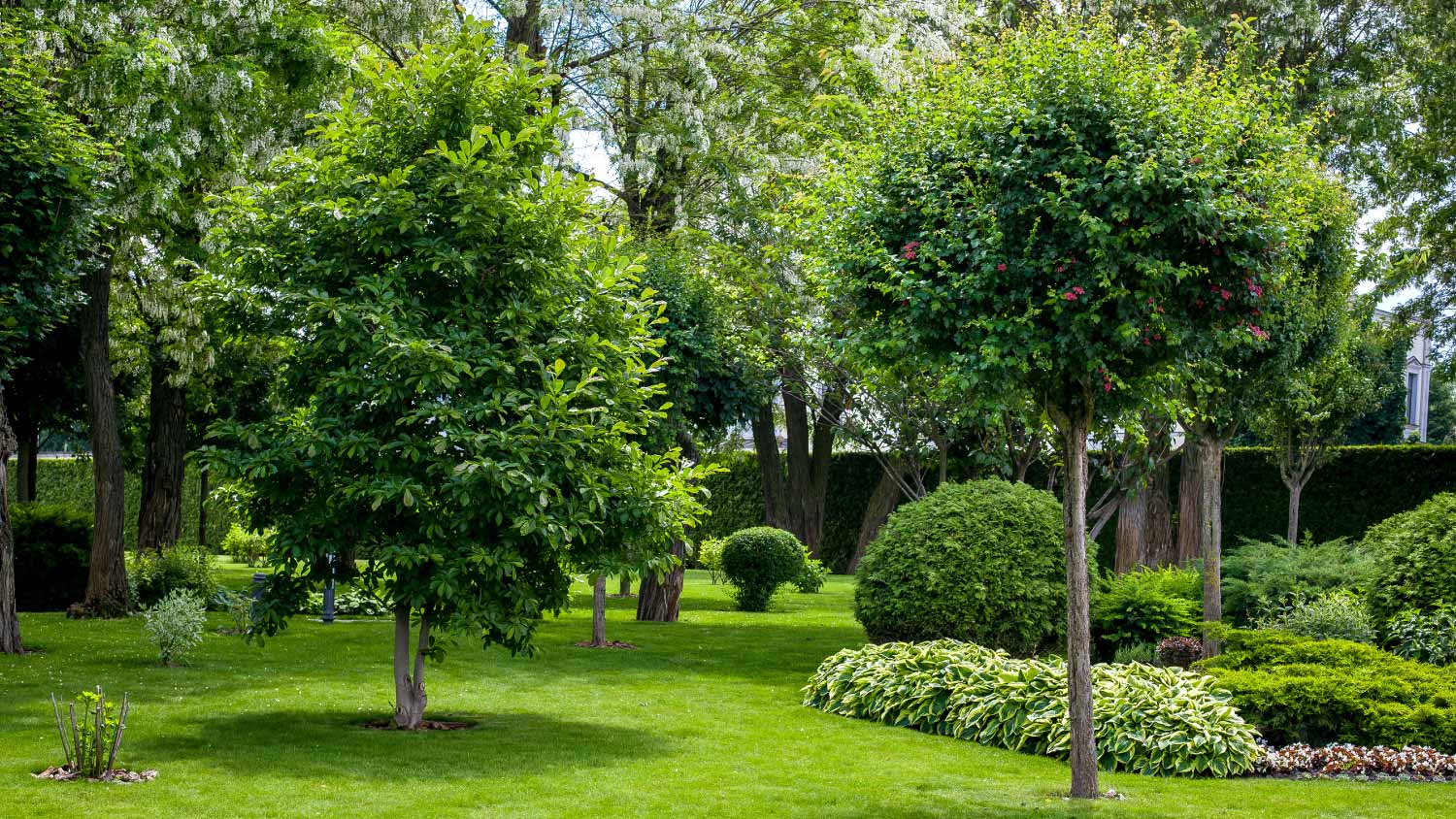 Green lawn with a flower bed and trees