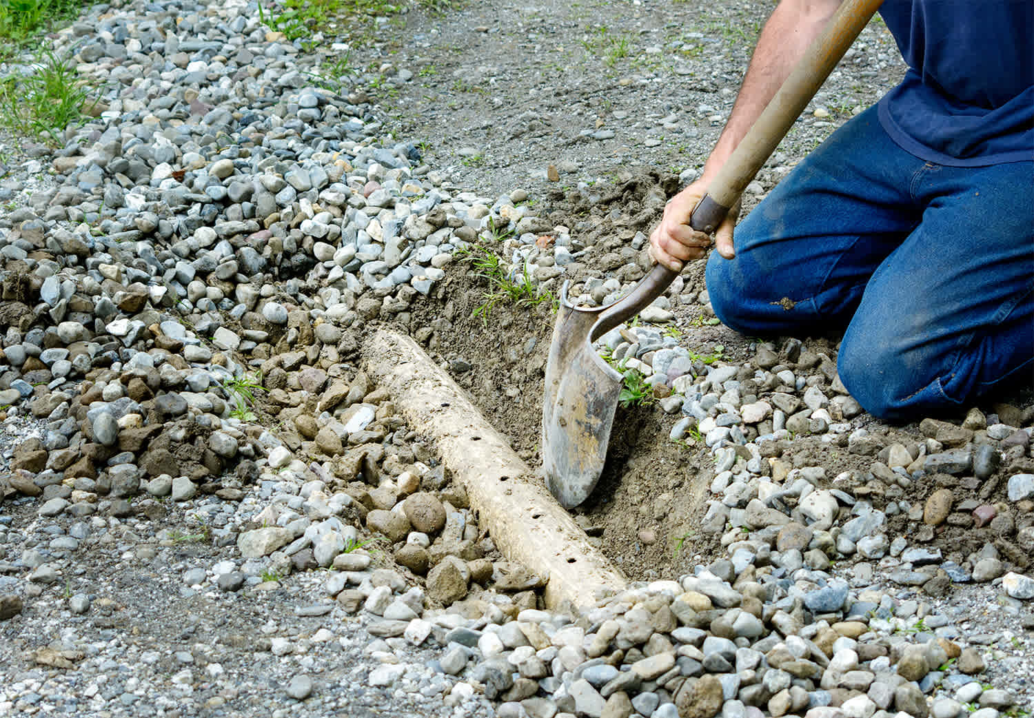 Person installing a French drain