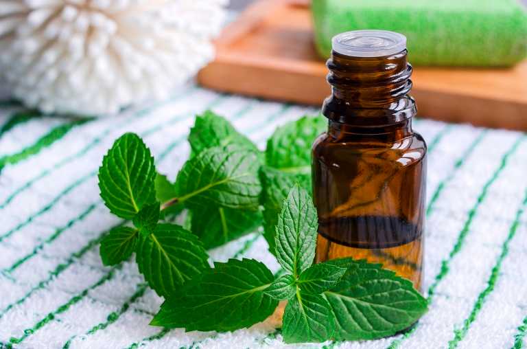 Essential mint oil