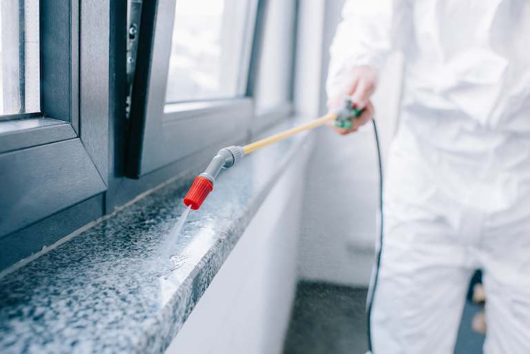 worker in white protective suit spraying pest repellant on window sill
