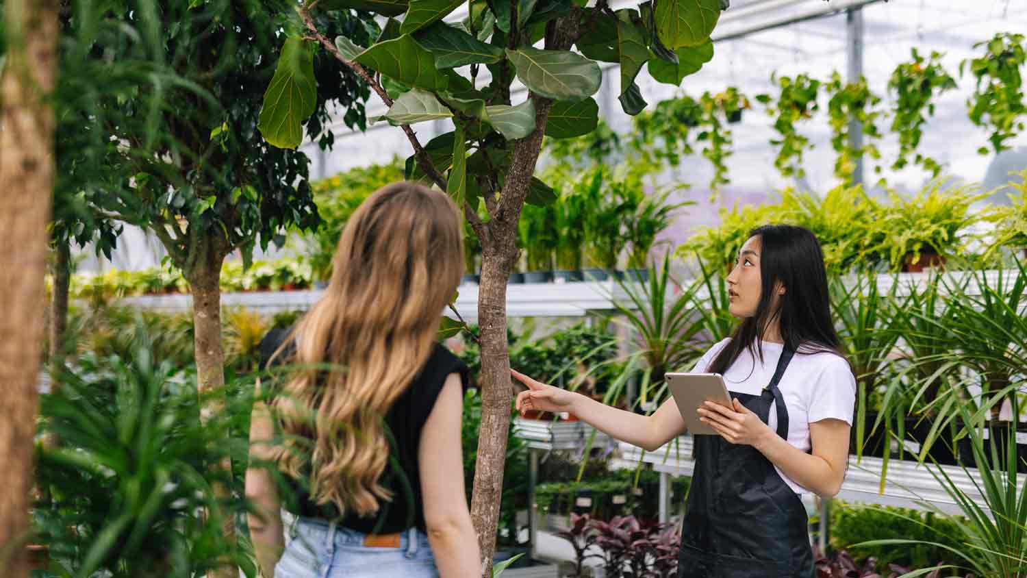 woman consulting professional about tree