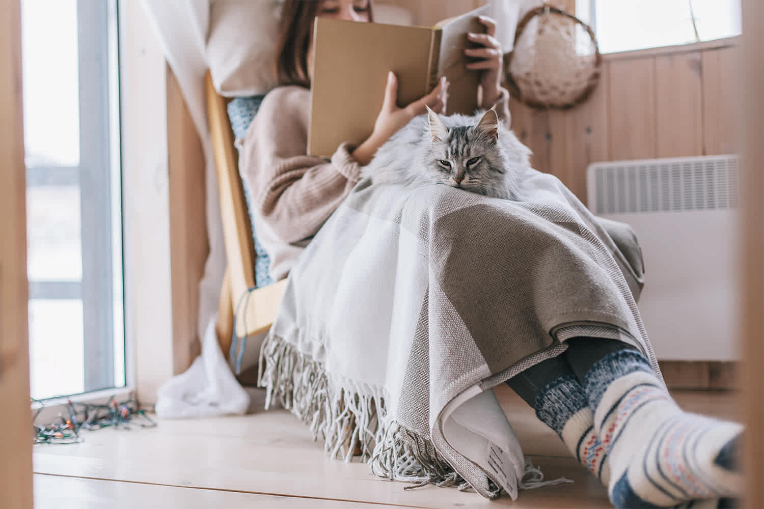 Woman and cat sitting with a blanket