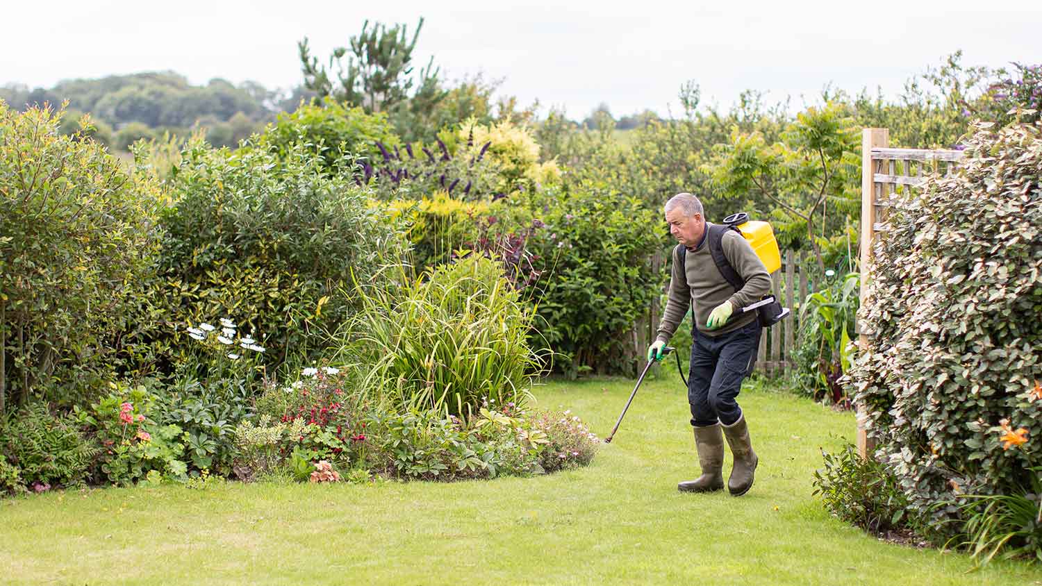 Gardener spraying herbicide in the yard