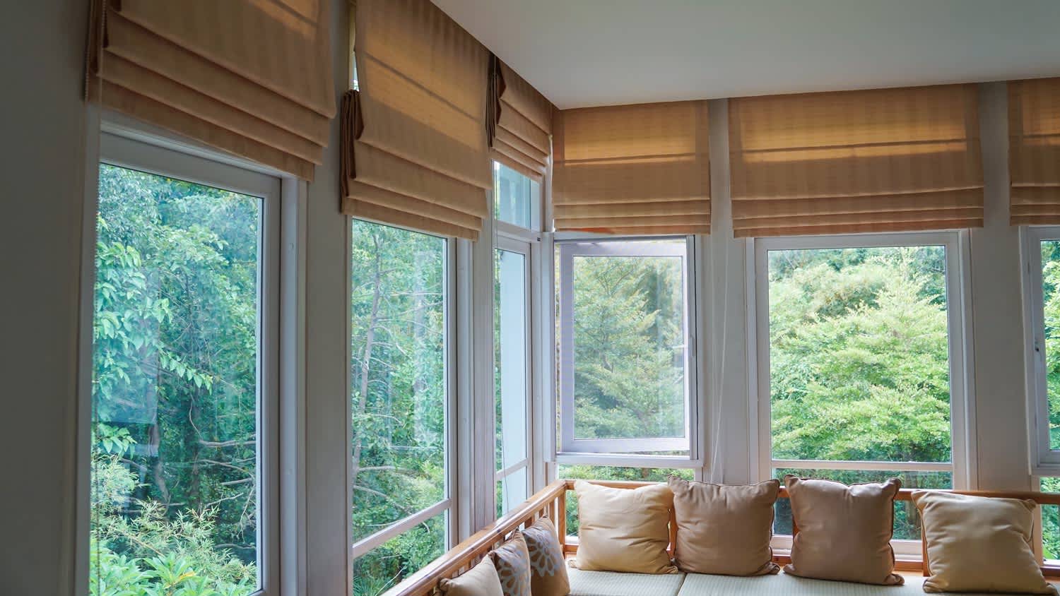Roman shades on windows with nature views