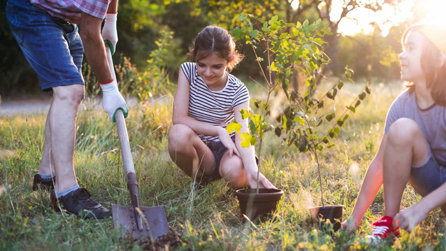 Man and two children digging a hole for planting a tree