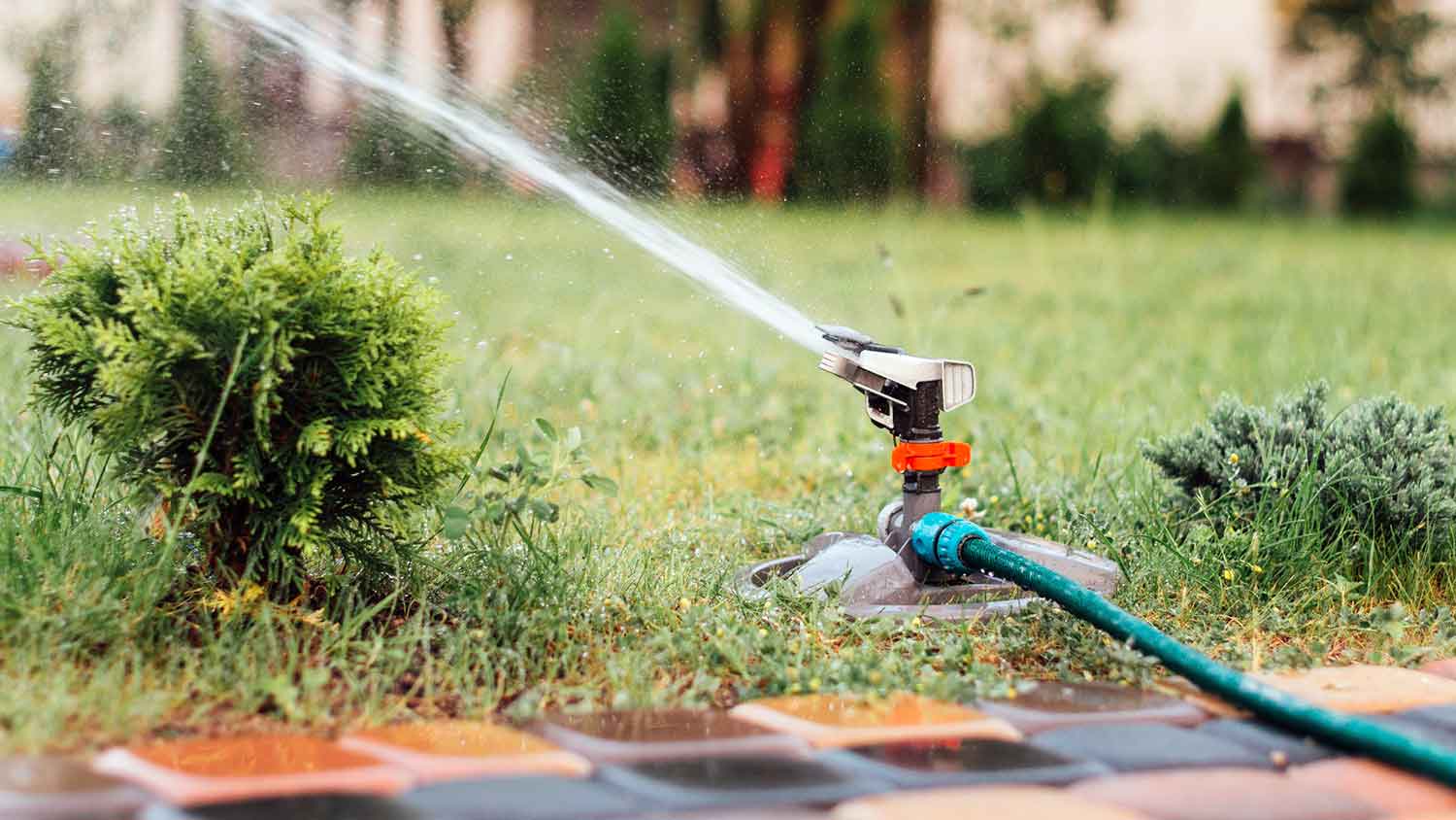 Lawn sprinkler connected to a hose