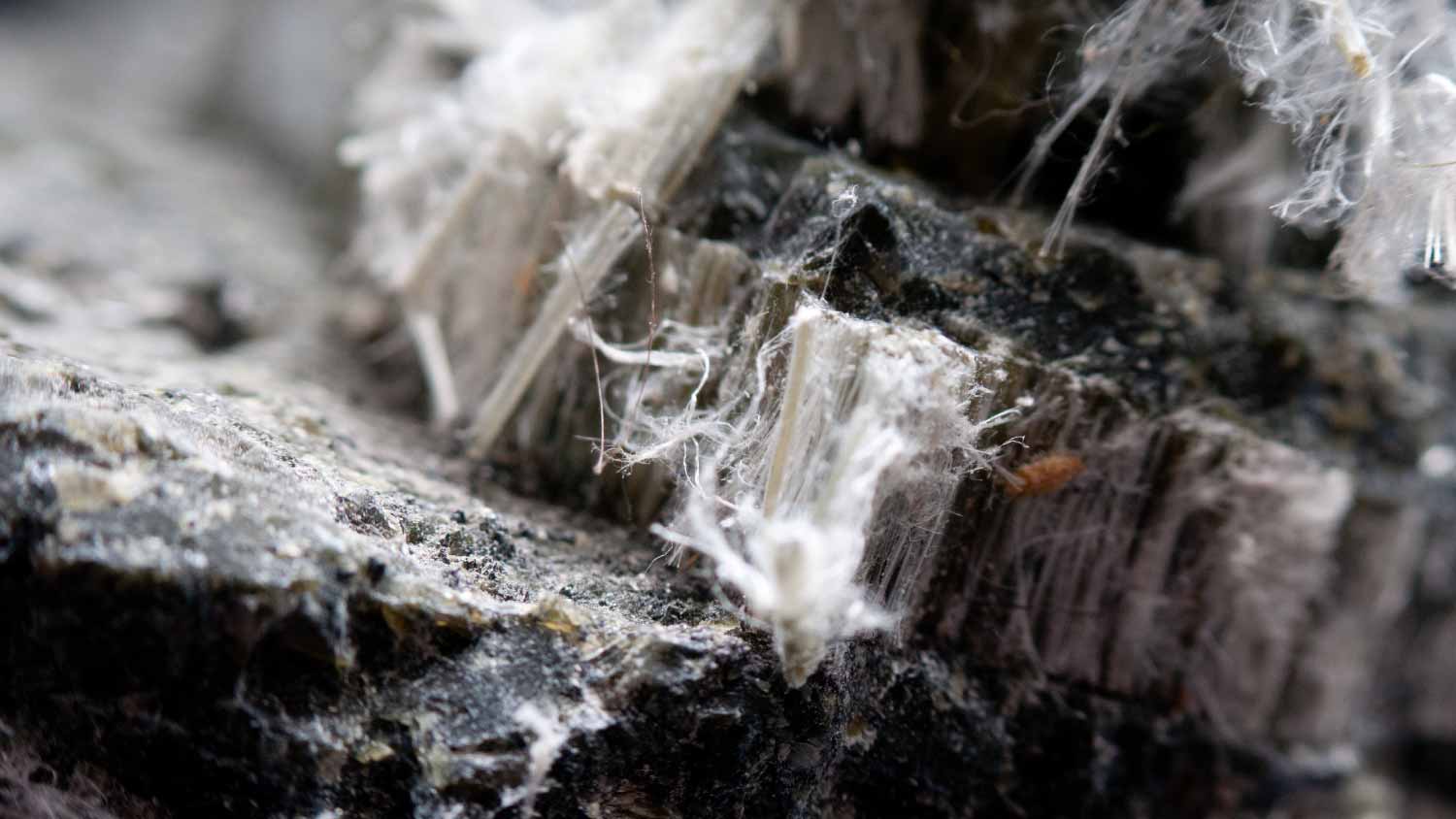 asbestos chrysotile fibers