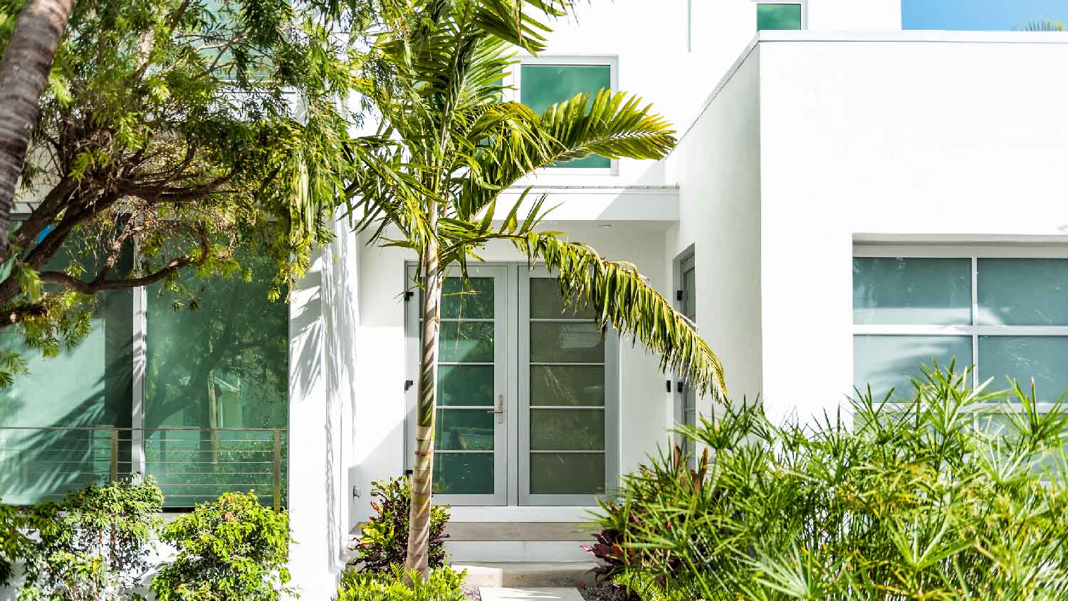 The entrance of a house with a palm tree next to it