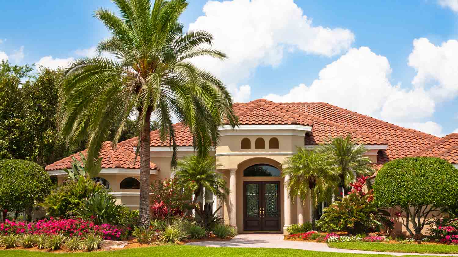 luxury home with palm trees on lawn