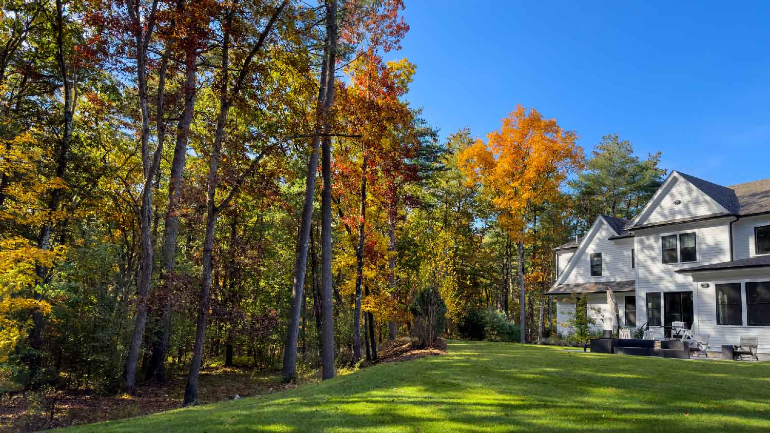 The backyard of a house with trees during autumn