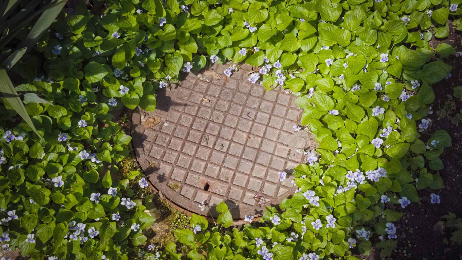 Metal cover of the cesspool