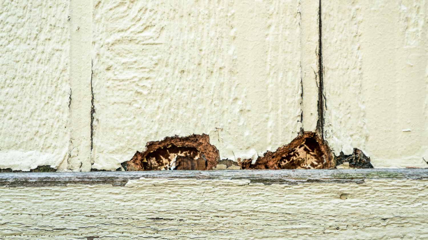 Damage house siding