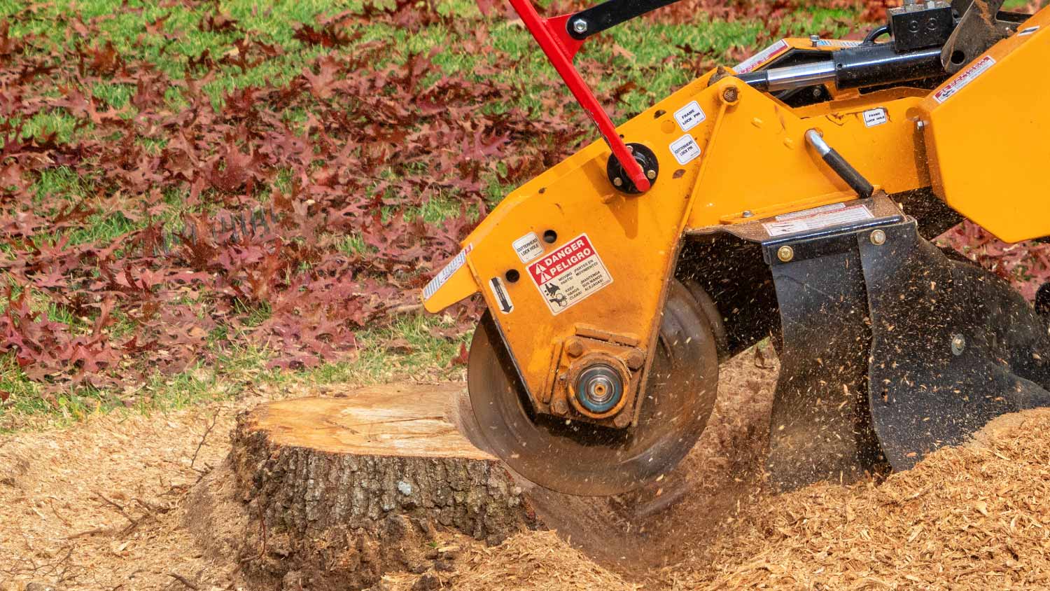 Tree stump removal