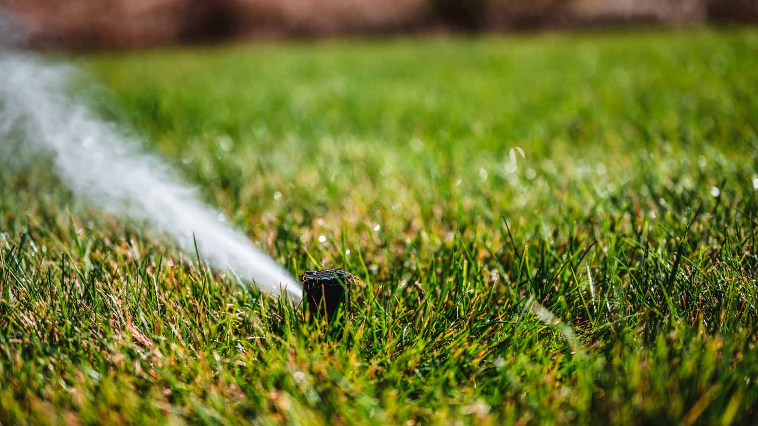 winterizing a irrigation sprinkler system