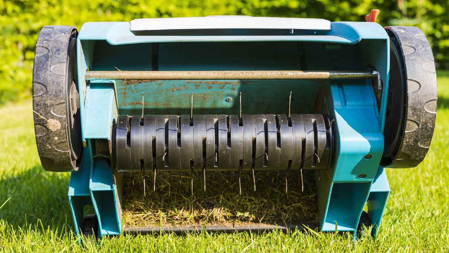 Close-up of a spike aerator