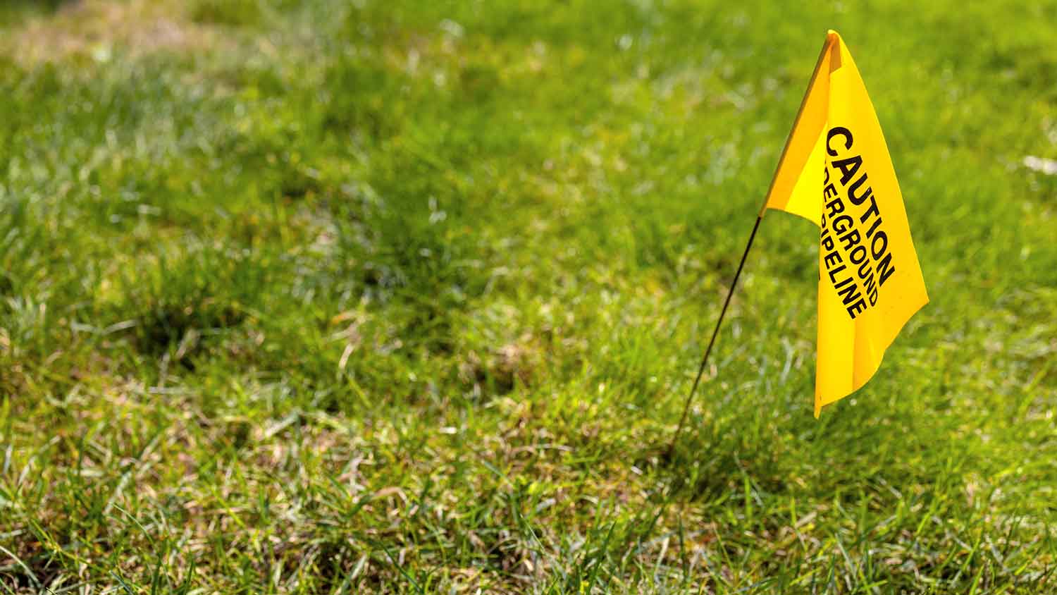 Gas utility warning flag in the yard