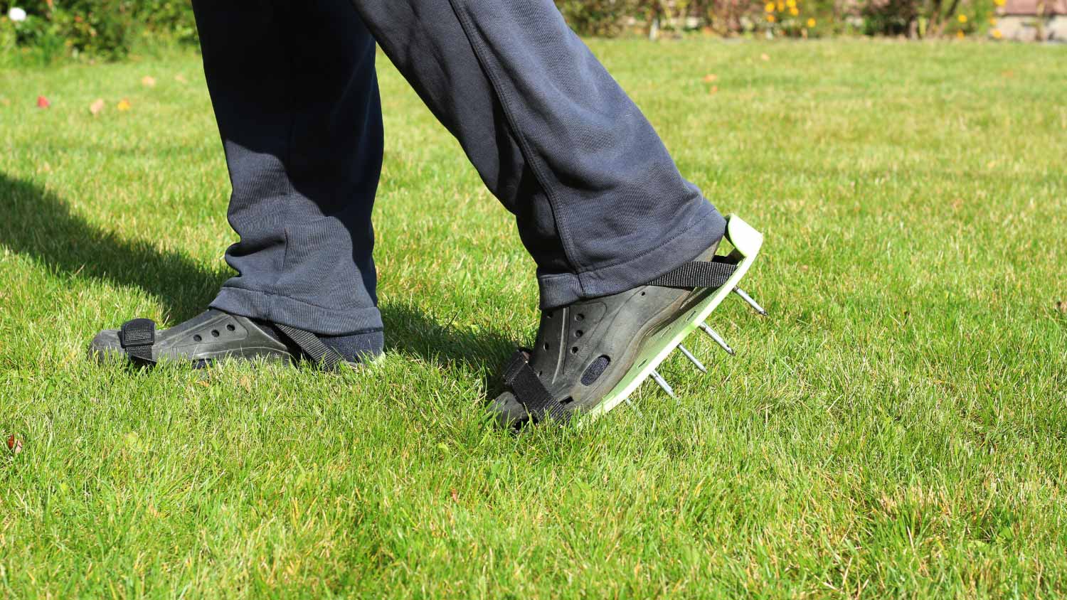 Man aerating the lawn