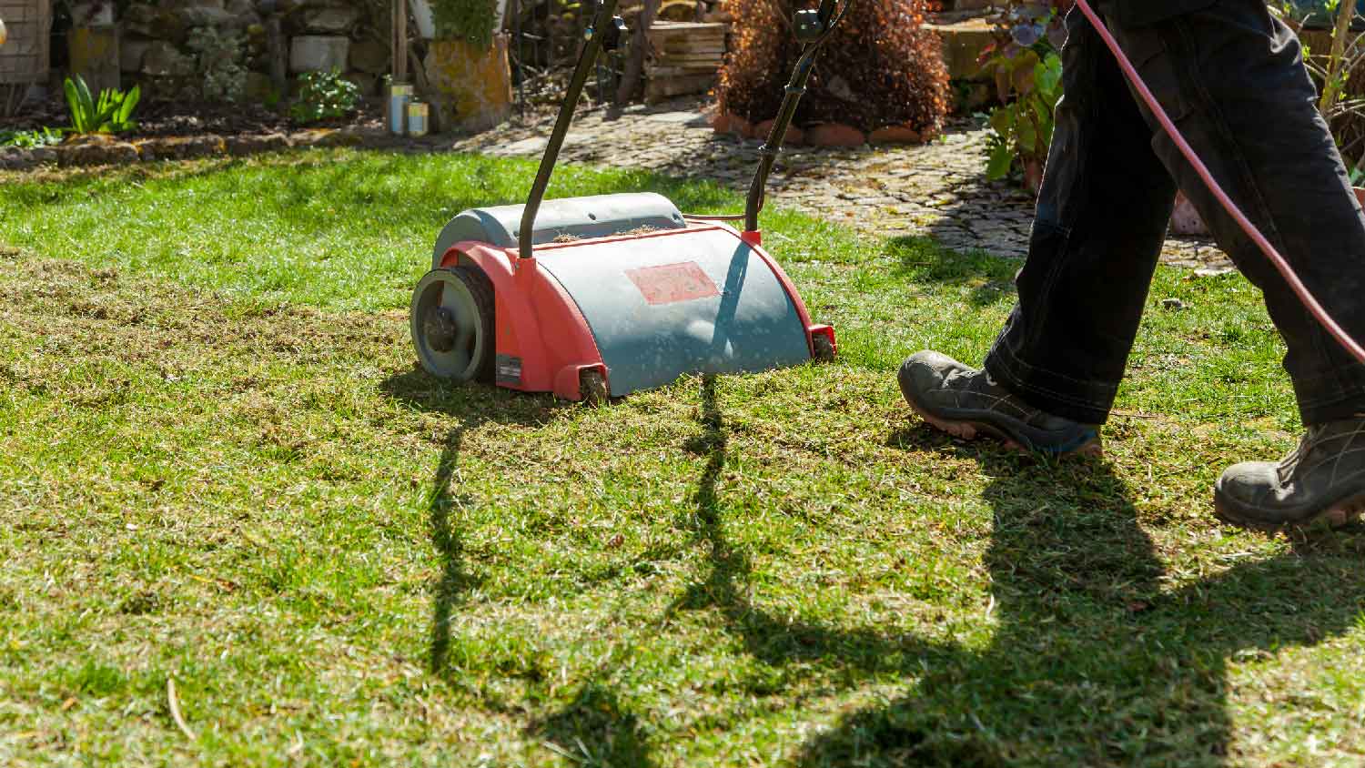 A person using a scarifier to remove thatch from grass