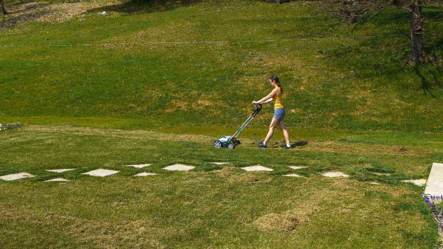 A woman using a core aerator in a yard