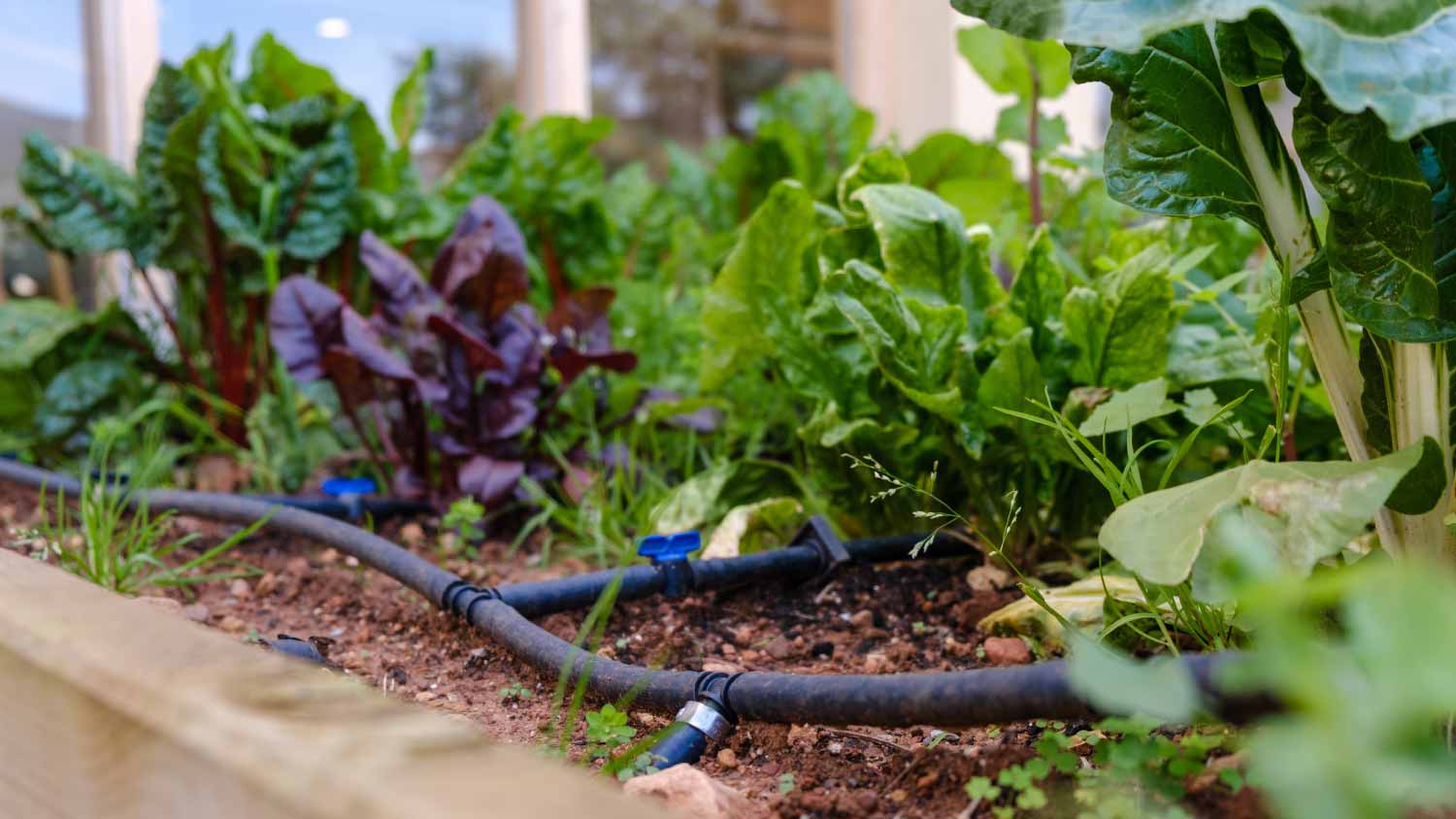 Green home garden drip irrigation