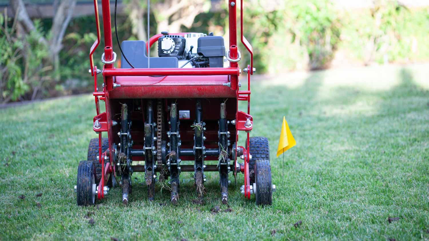 red grass lawn aerator