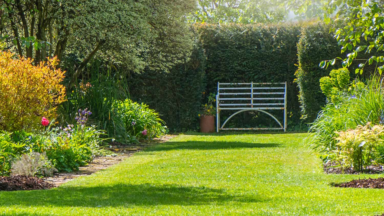 Landscaped garden with a bench