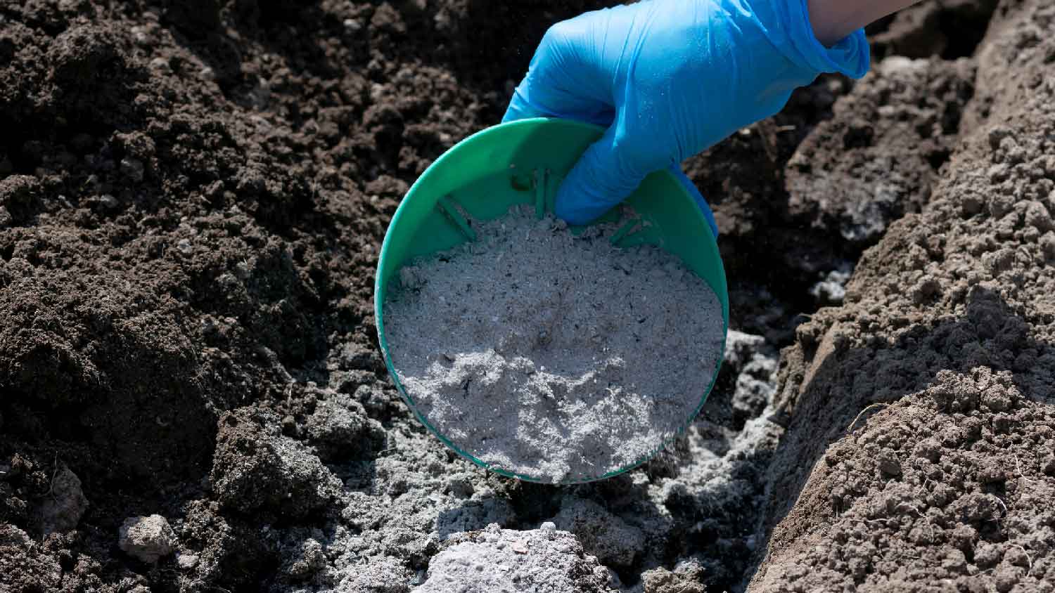 A person disposing ashes in the soil