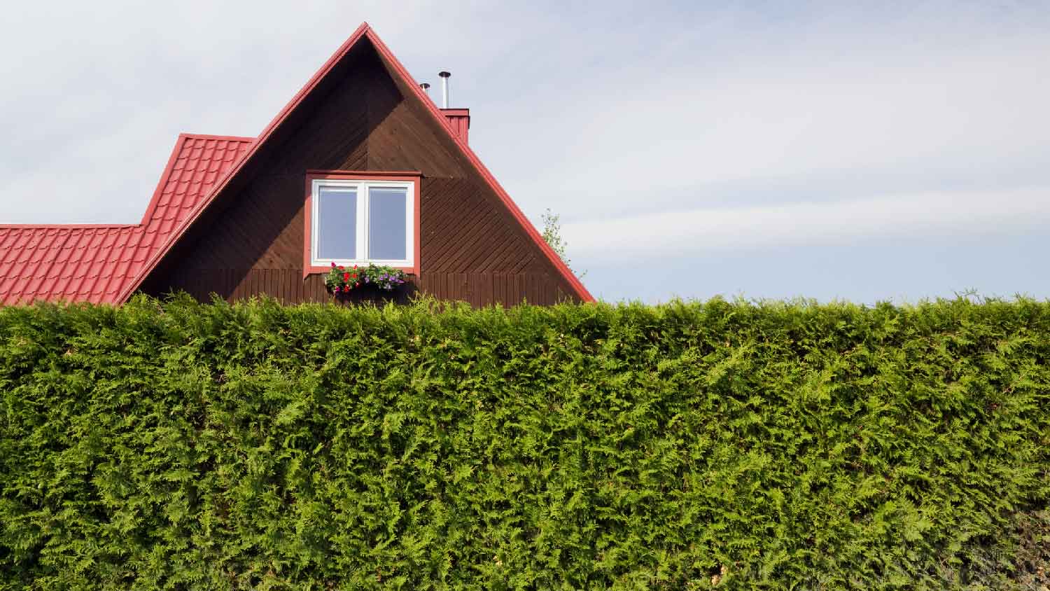 A hedge fence of a house