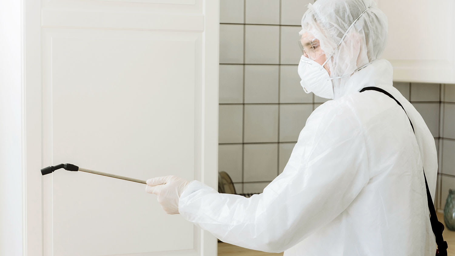 Mold removal and disinfection