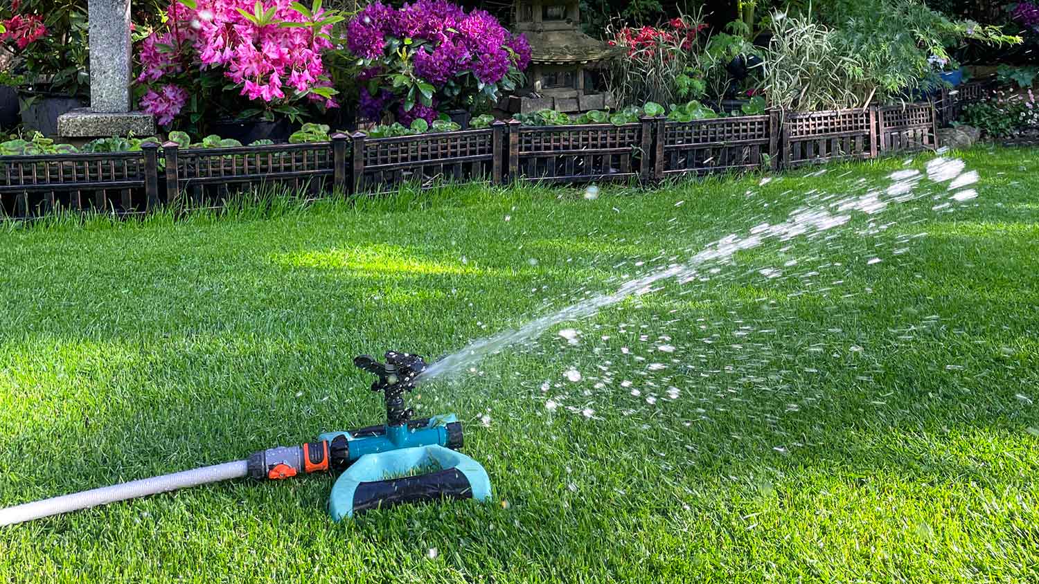 Watering new sod with sprinkler