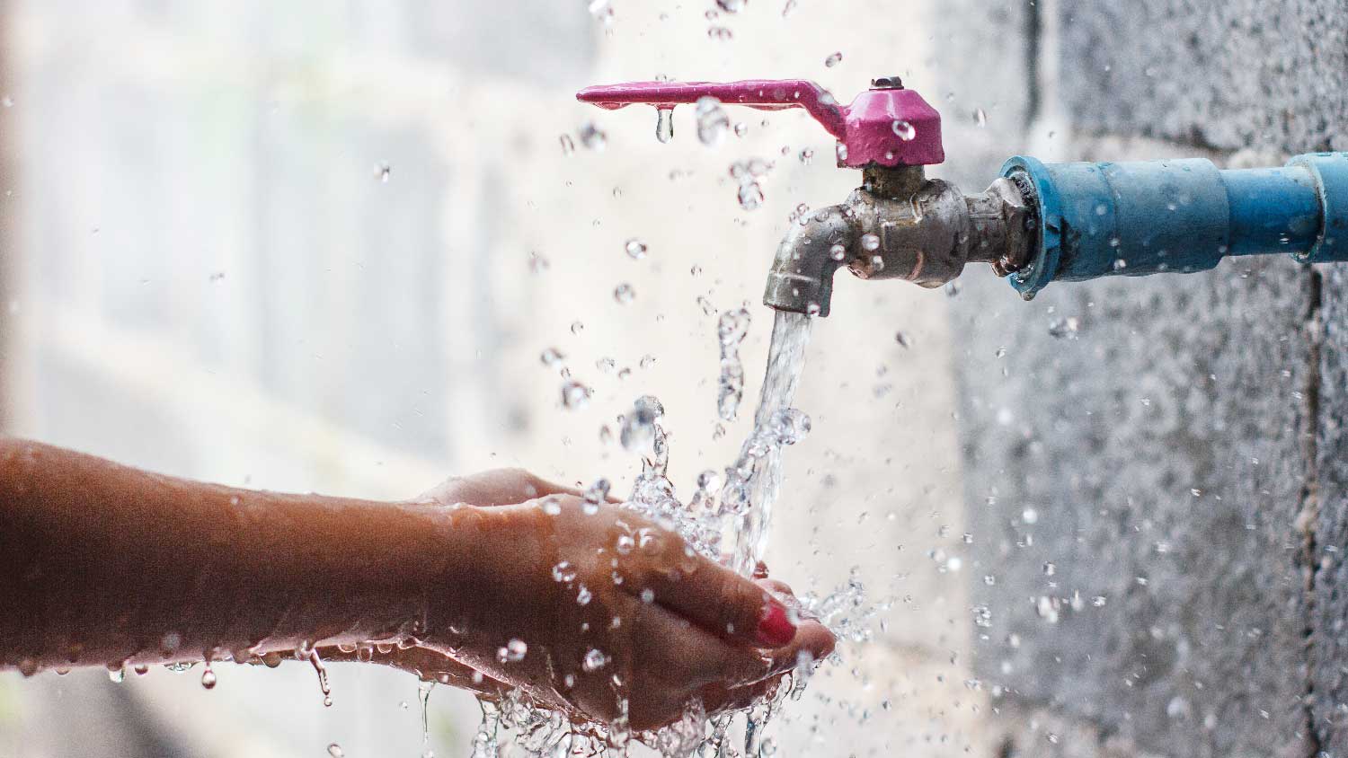A woman washing her hands in a hose bib