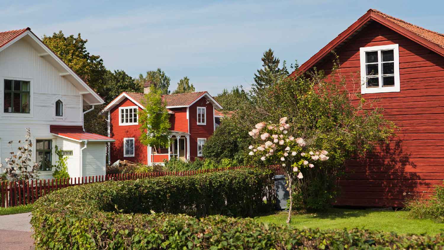 A house with hedge in its yard