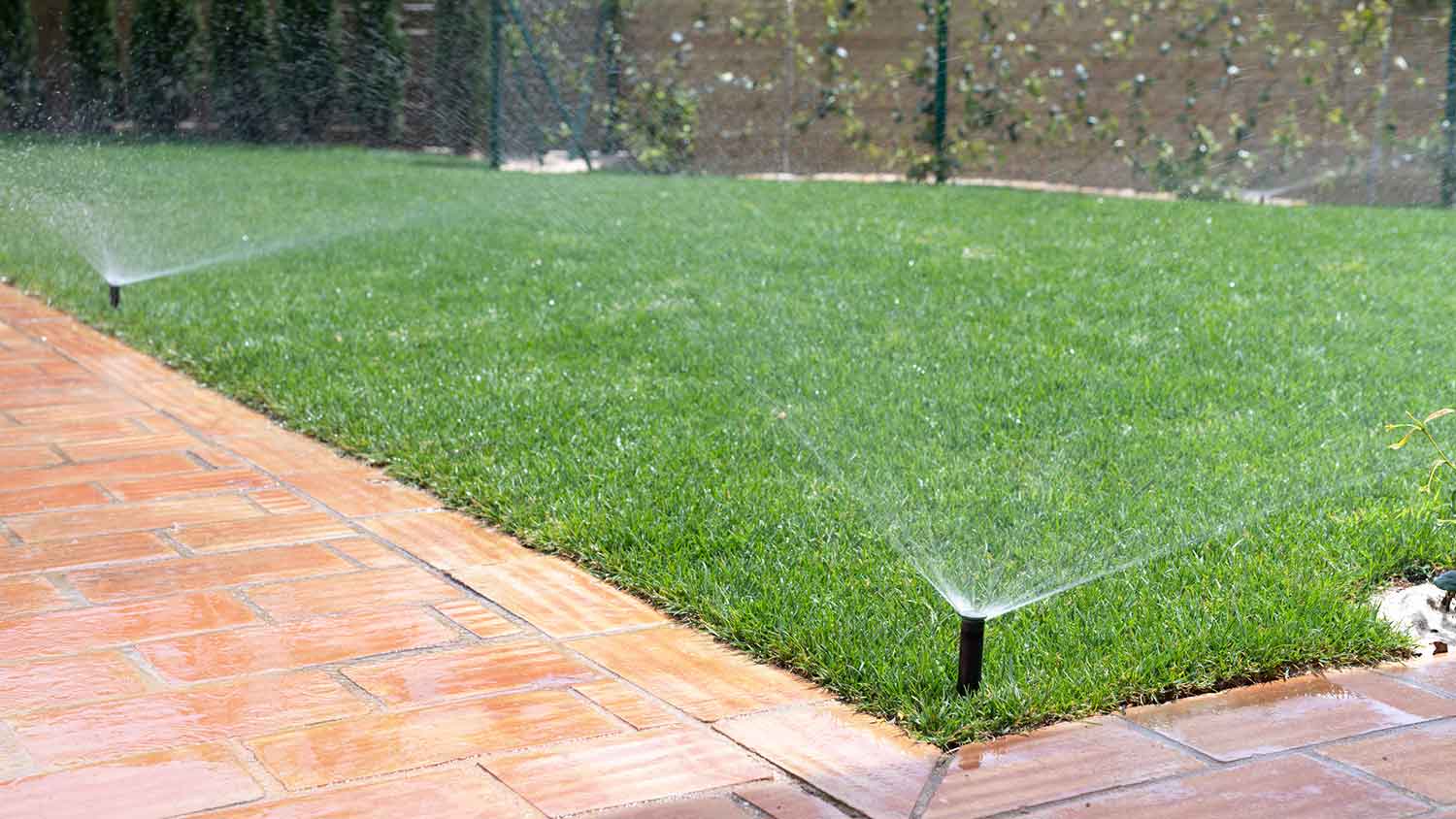Sprinklers installed in the yard