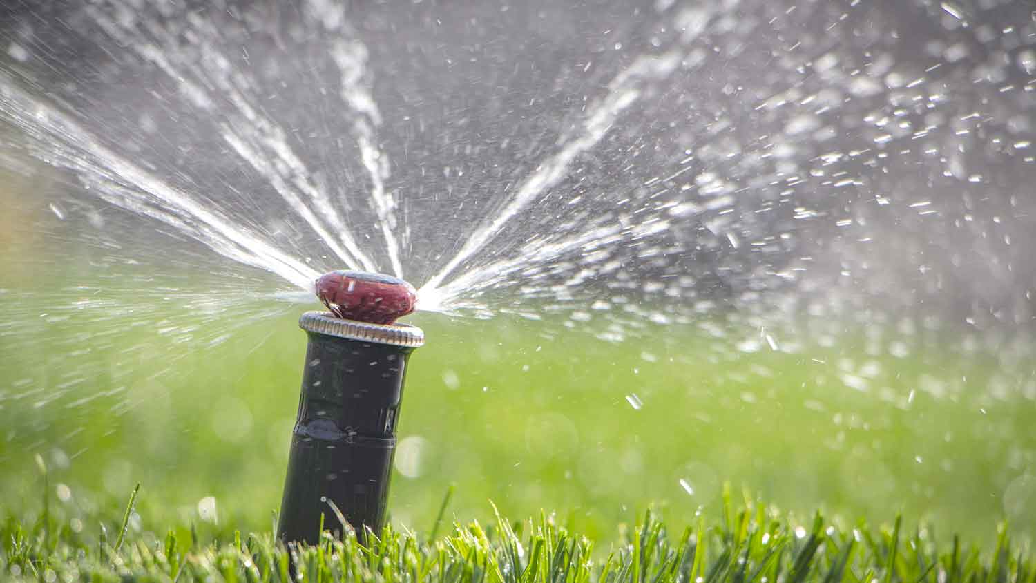 Closeup of a lawn sprinkler head