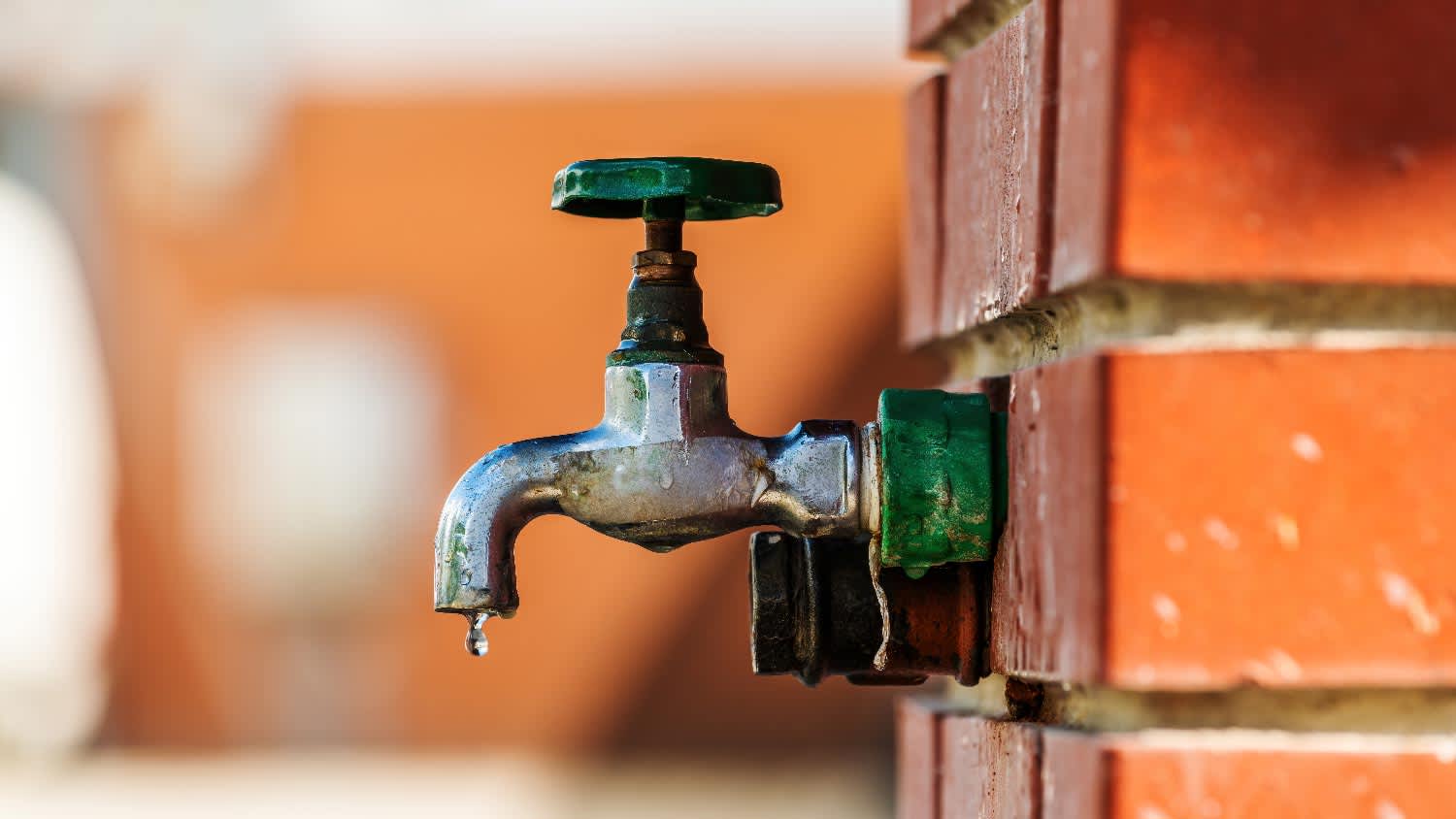 Close-up of a hose bib