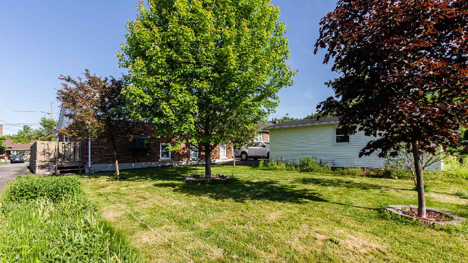 The backyard of a house with large trees