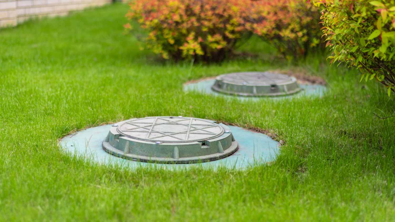 cesspool on the backyard green lawn