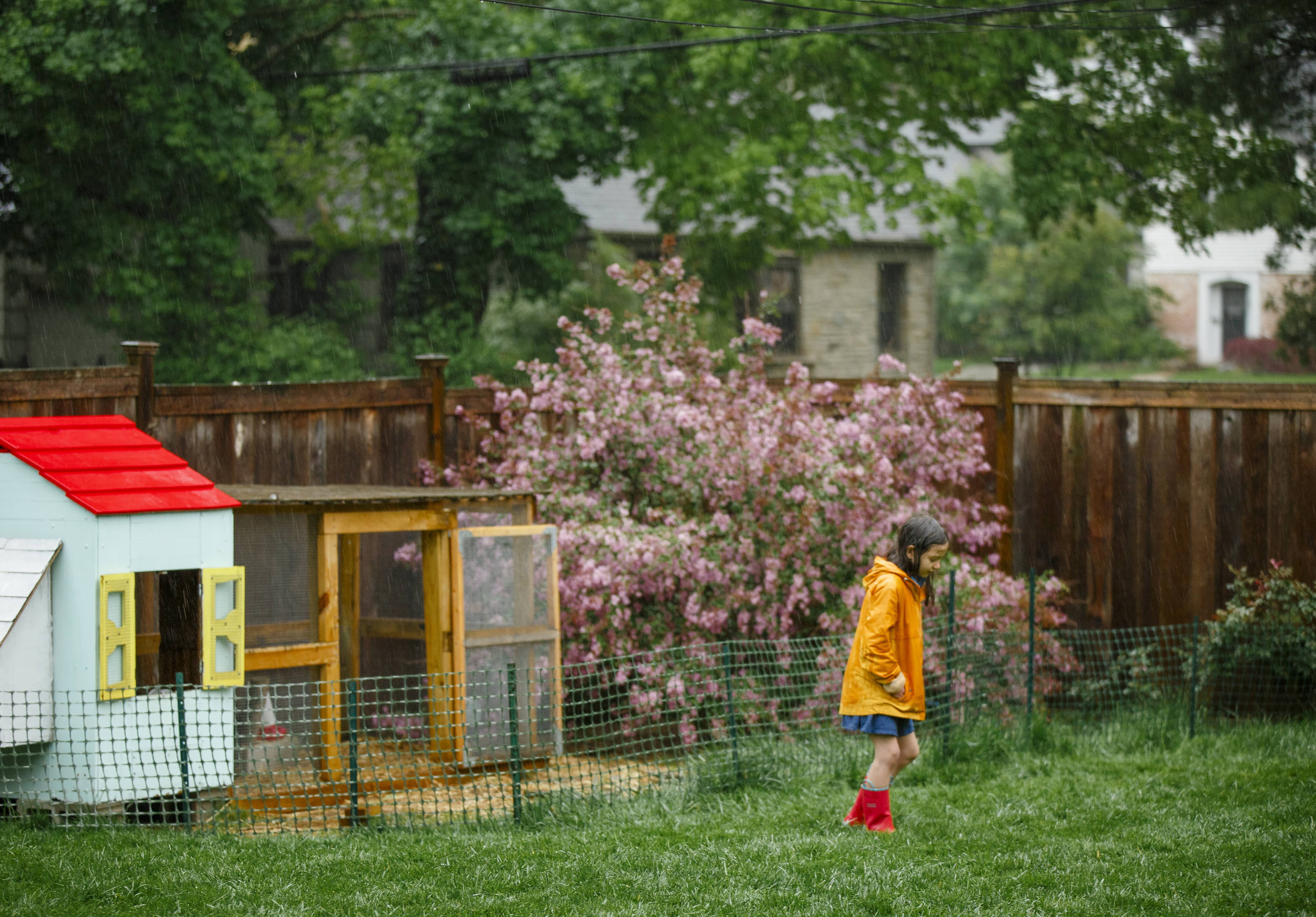 Girl in yellow raincoat next to netting and post fence surrounding a chicken coop