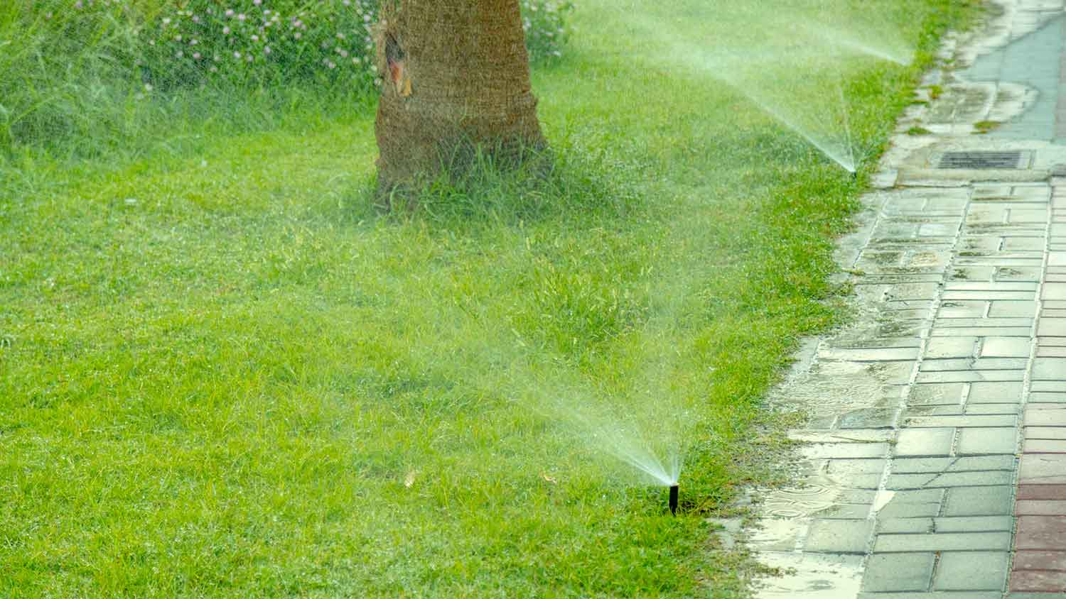 Sprinkler system installed in a sloped yard