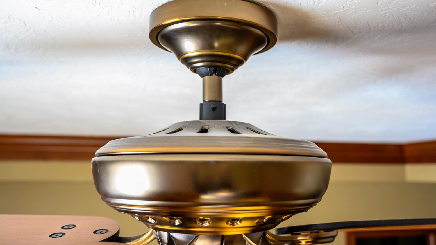 Focus on oil rubbed bronze ceiling mount of fan