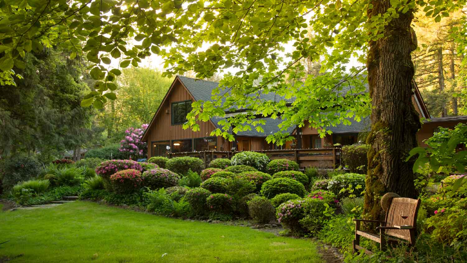 A house with a lush garden filled with bushes and trees